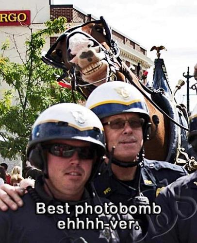 315595070_1599856883860816_1725050257344466565_n