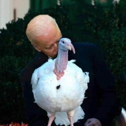 FB_IMG_1669300655084