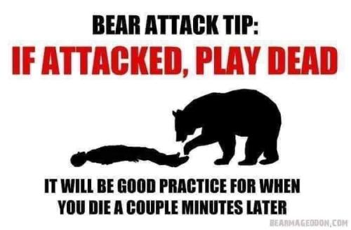 FB_IMG_1667401865254