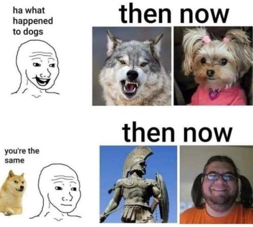 314737608_634134021752250_305015364513212942_n