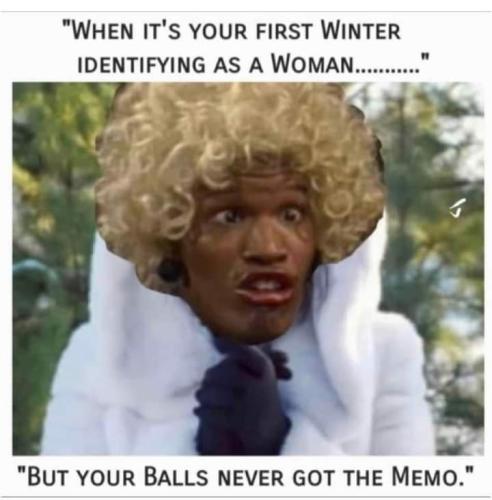 FB_IMG_1669037937328
