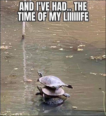 and ive had the time of my life