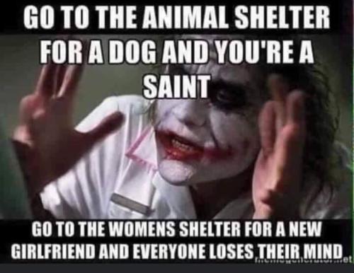 FB_IMG_1667530216198