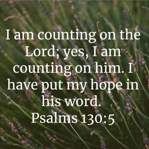 Screenshot_20221130-072420_Bible