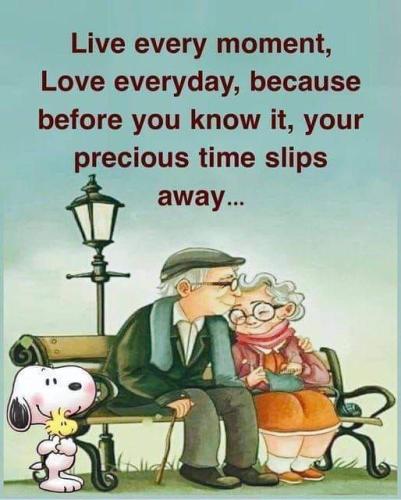 313270077_477768167718683_7006266948160257476_n