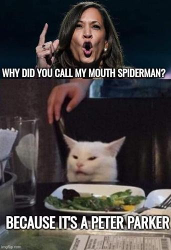 FB_IMG_1668179637277