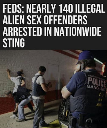 illegal immigration300