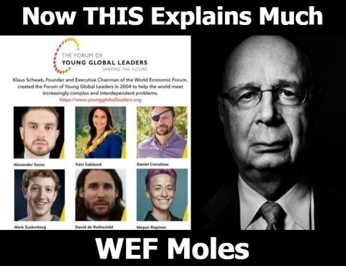 WEF Moles