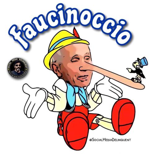 FB_IMG_1669342942533