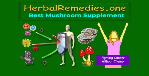 Herbalremedies.one - Mushroom Supplement