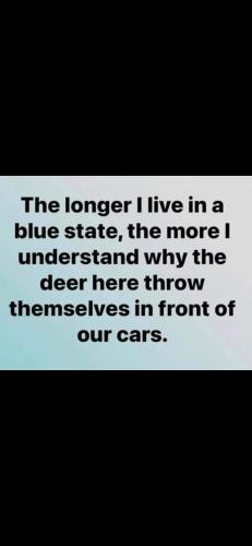 FB_IMG_1668798599252