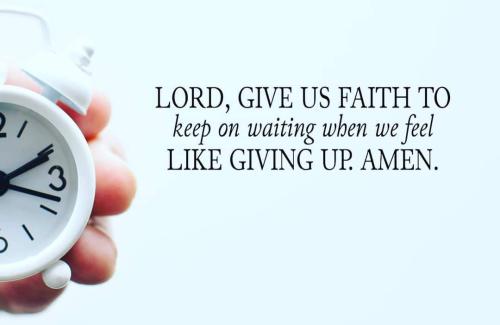 FB_IMG_1667826759440