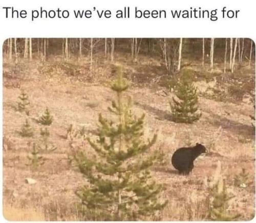 FB_IMG_1667498586750
