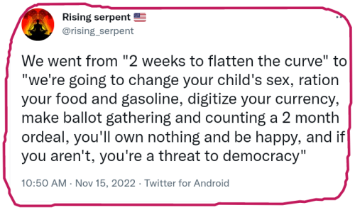 snapshot_twitter.com_1668614378336