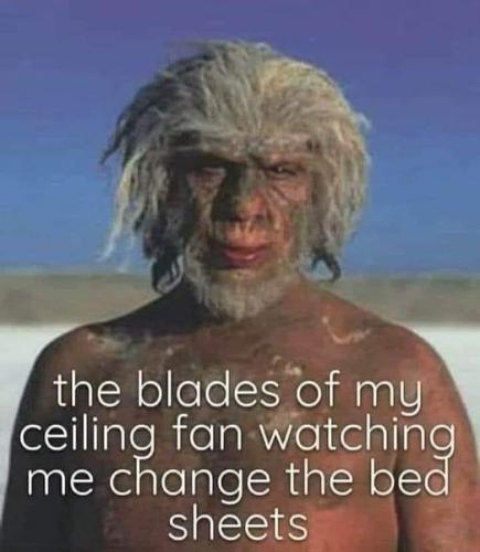 315445799_6036521769713903_2849255644488367246_n