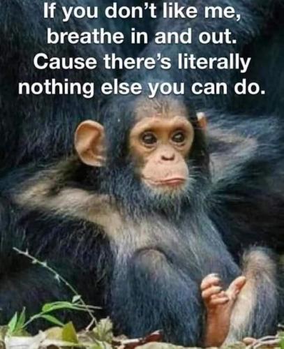 315055096_499391812229242_1225207612711760891_n