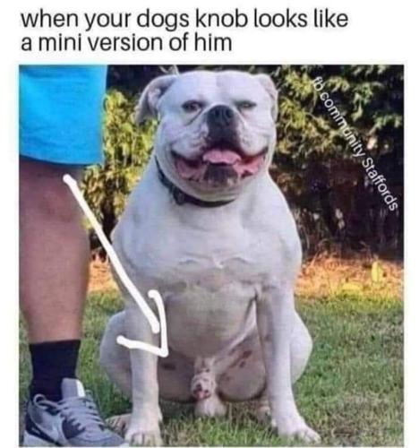 FB_IMG_1668879659756