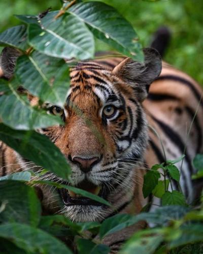 tumblr_01ea2bc666b1ef74d860824f2c856f4c_076d451b_540