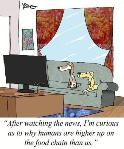 313415224_5993394474026633_2477425231351500621_n