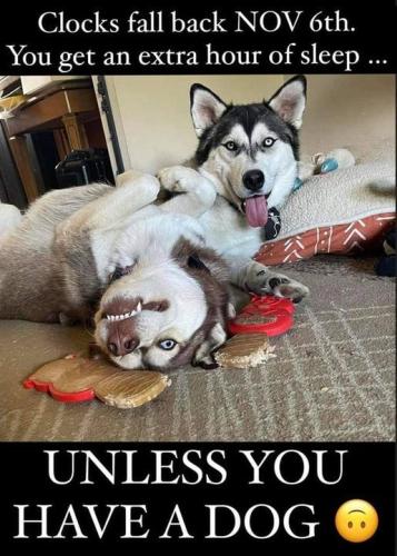 tumblr_084d63a413f71d326300fd0bc25bf77a_6ec30058_540