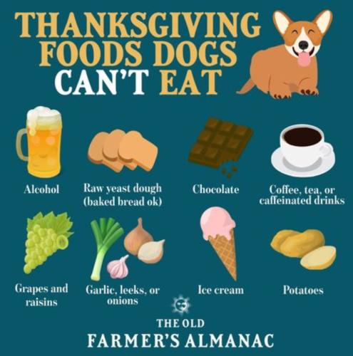 9851C994-7474-4C3A-8157-7778D97E4505