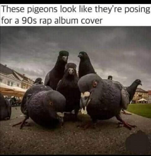 20:46:51 GMT-0500 (EST)