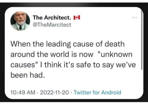 photo_2022-11-21_23-59-51