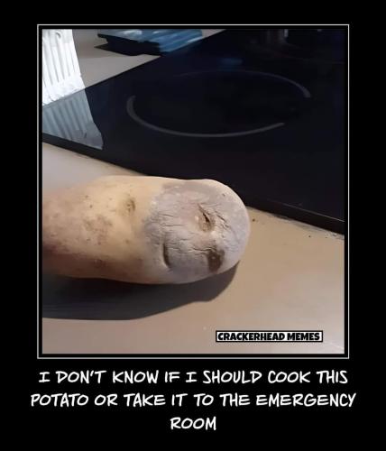 FB_IMG_1668799106762
