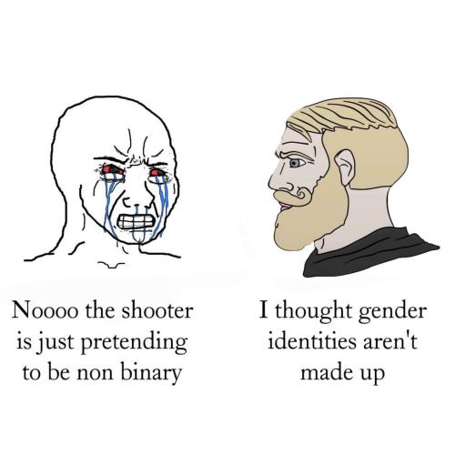 FB_IMG_1669391556789