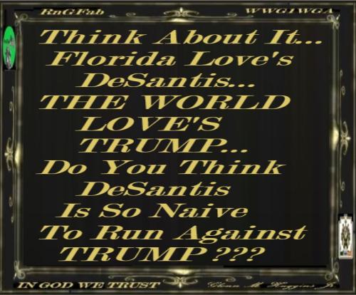 photo_2022-11-11_04-09-35