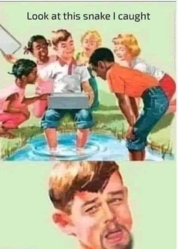 FB_IMG_1667515880729
