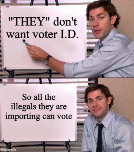 illegal voting