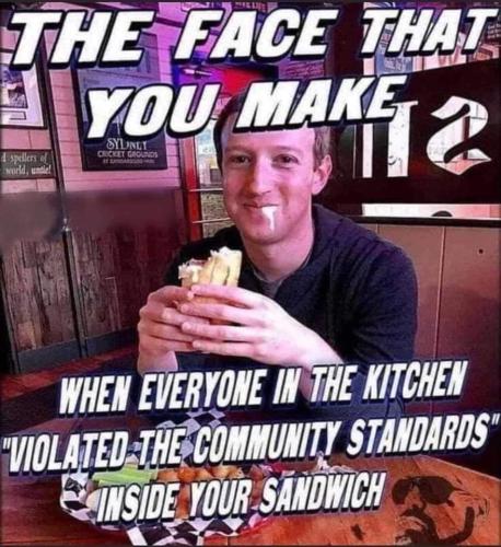 FB_IMG_1668533122436