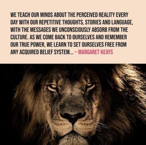 Screenshot_2022-11-11-00-22-08-73_1c337646f29875672b5a61192b9010f9