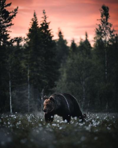 tumblr_943ac18eea677506355b022a067d1ab5_054ca750_540