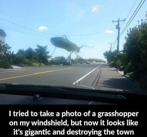 FB_IMG_1668547193451