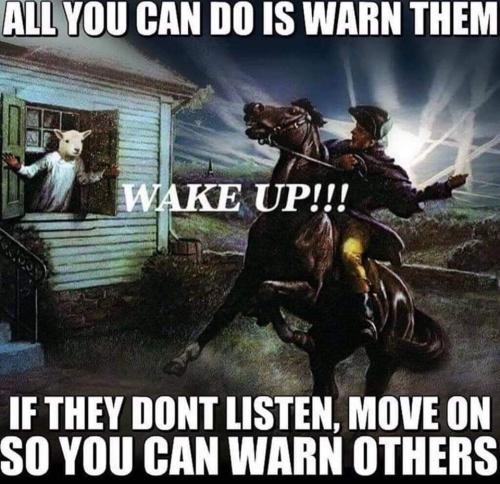 FB_IMG_1667835892873