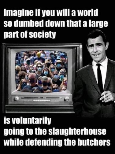 IMG_20221121_034918_486