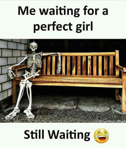 FB_IMG_1668737105063