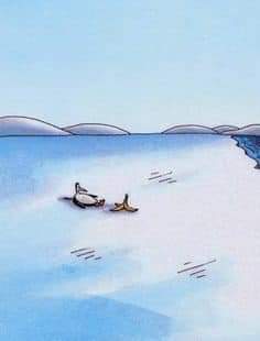 FB_IMG_1667429955152