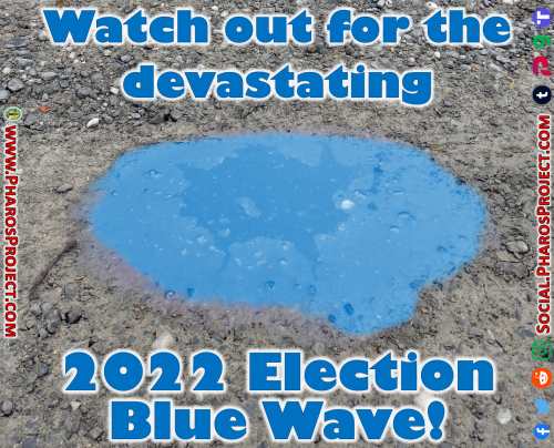 Blue Wave - 2022 Elections - Web-Social