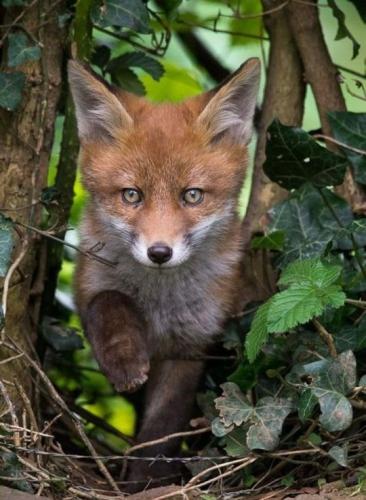 tumblr_2f2a827864d1818a45f129bdd6f49ab5_bb36bb02_540