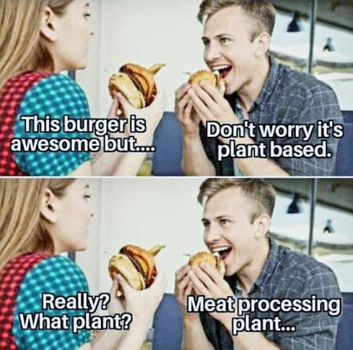 vegan04