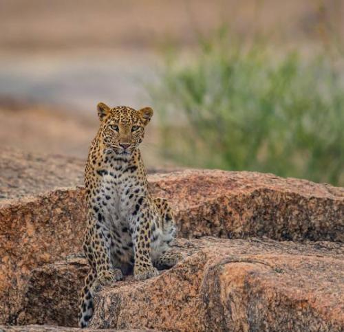 tumblr_20dc2b6dd8fa8ed703ff30f5fc998c04_ac80e95f_540