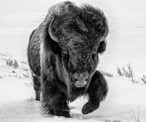 tumblr_oychfpKSZ61rcreq5o1_540