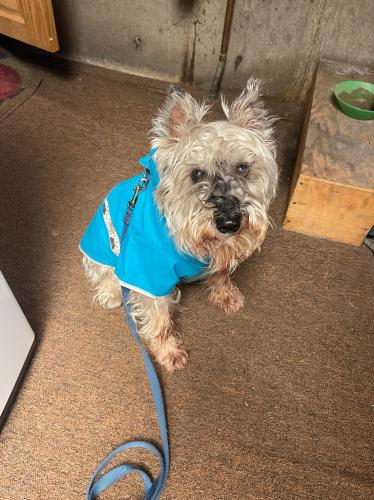 45A168EF-304F-44C6-884E-7FBF888DF13E