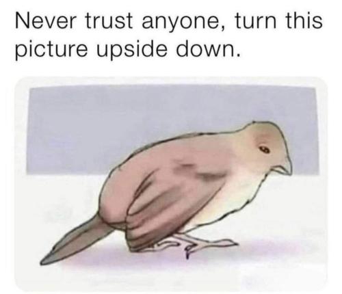 FB_IMG_1669730702288
