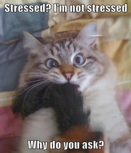 R.28dced3d7aecaa11956f42aa2bed24de