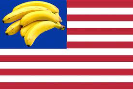 USA bananna Republic