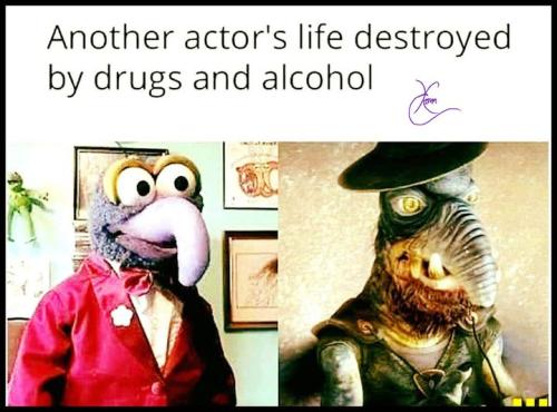 312825640_436696828612131_4535975722280912782_n